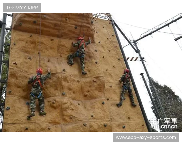 上海攀岩队战术解析与训练策略探讨攀岩运动的未来发展方向